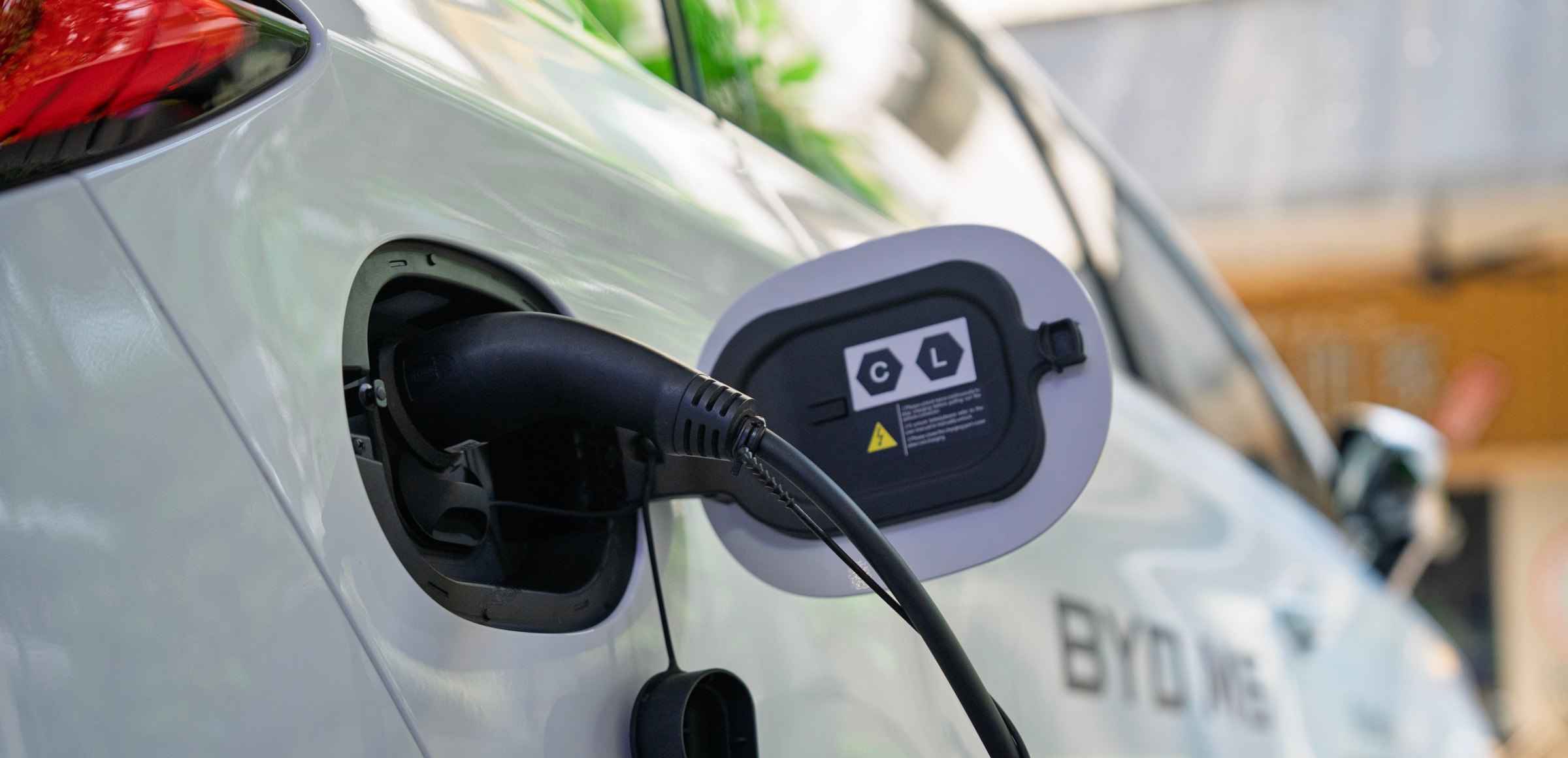 1 mes gratis de consumo de luz todos los años.