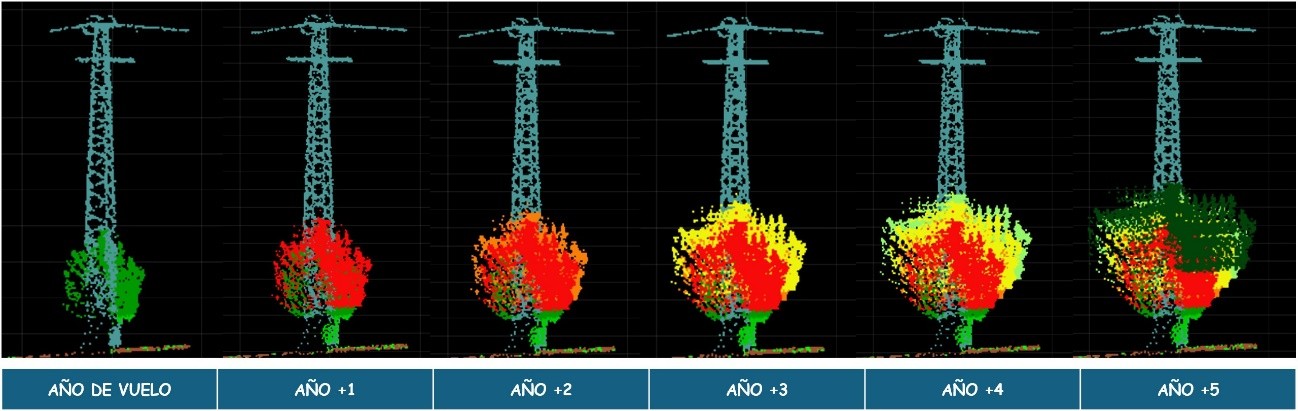 Simulación de crecimiento de la vegetación en nube de puntos de LiDAR para cálculo de incumplimientos actuales y futuros