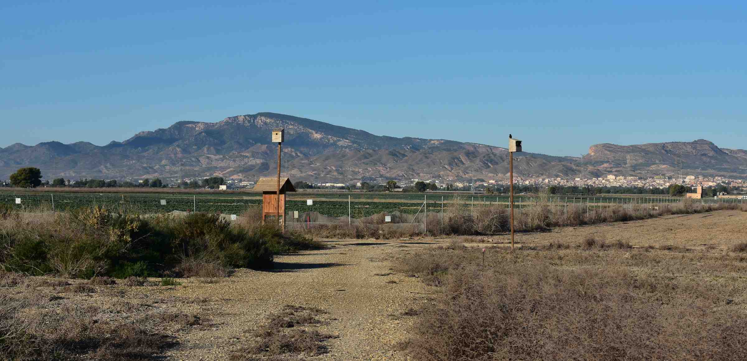 avifauna en plantas solares