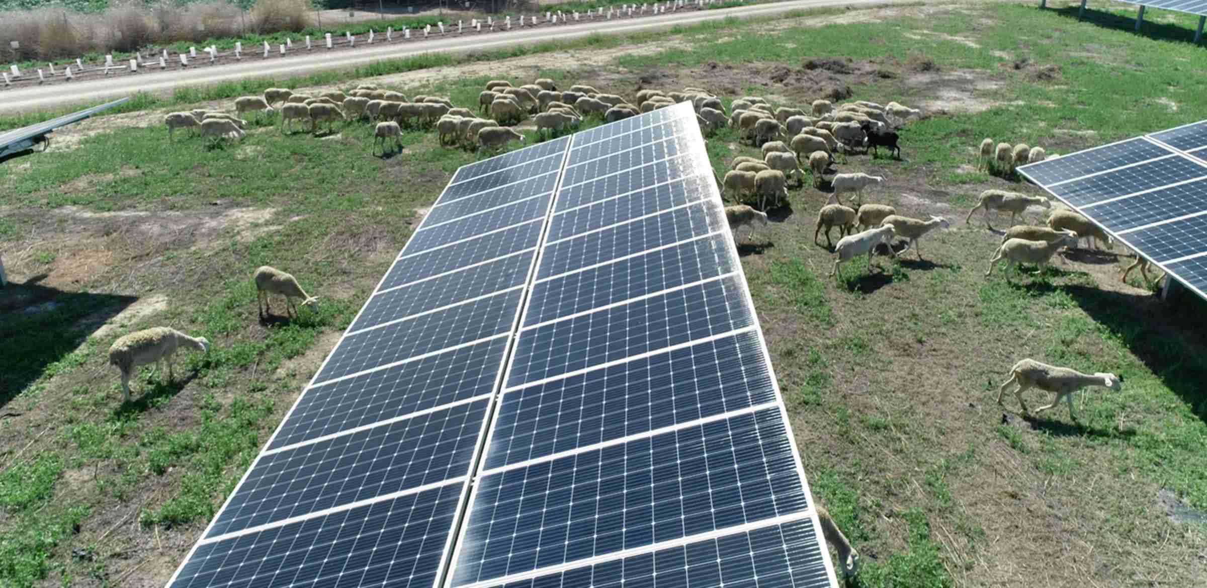 Planta solar de Totana (Murcia)