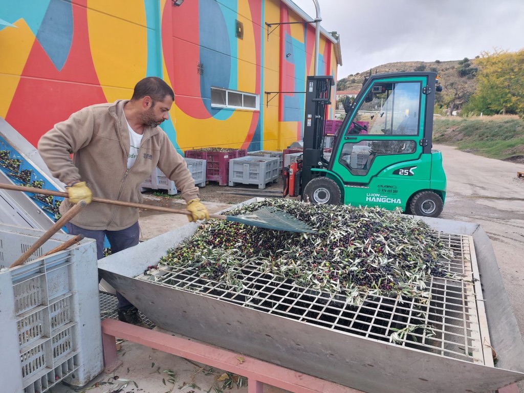 Etiquetado del olivo.