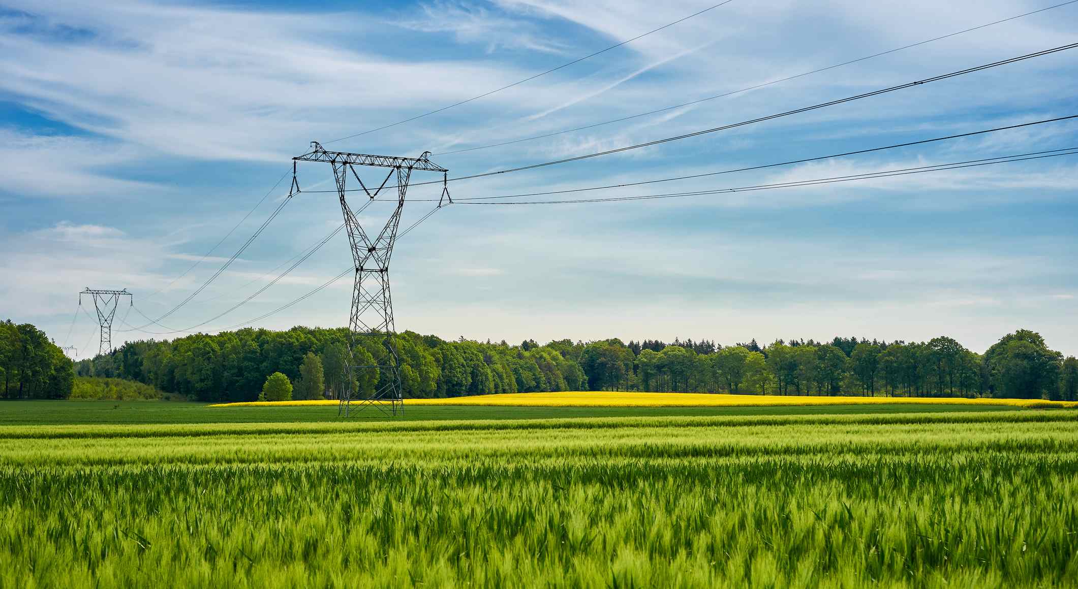 red-de-distribucion-tribuna